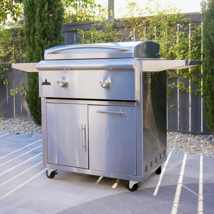 Blaze Grill Package - Premium LTE 30-Inch Built-In Propane Gas Griddle with Lights and Grill Cart in Stainless Steel (AP2-GRIDDLE-LTE3-LP)